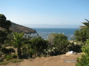 Days Catalina Pics 2005 334.jpg: 2005/08/01 - Day's Catalina Pics - 2005